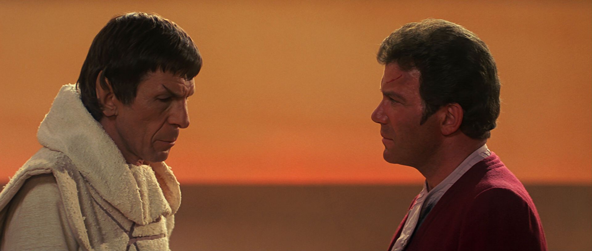 extant_StarTrek3_TheSearchForSpock_07042.jpg