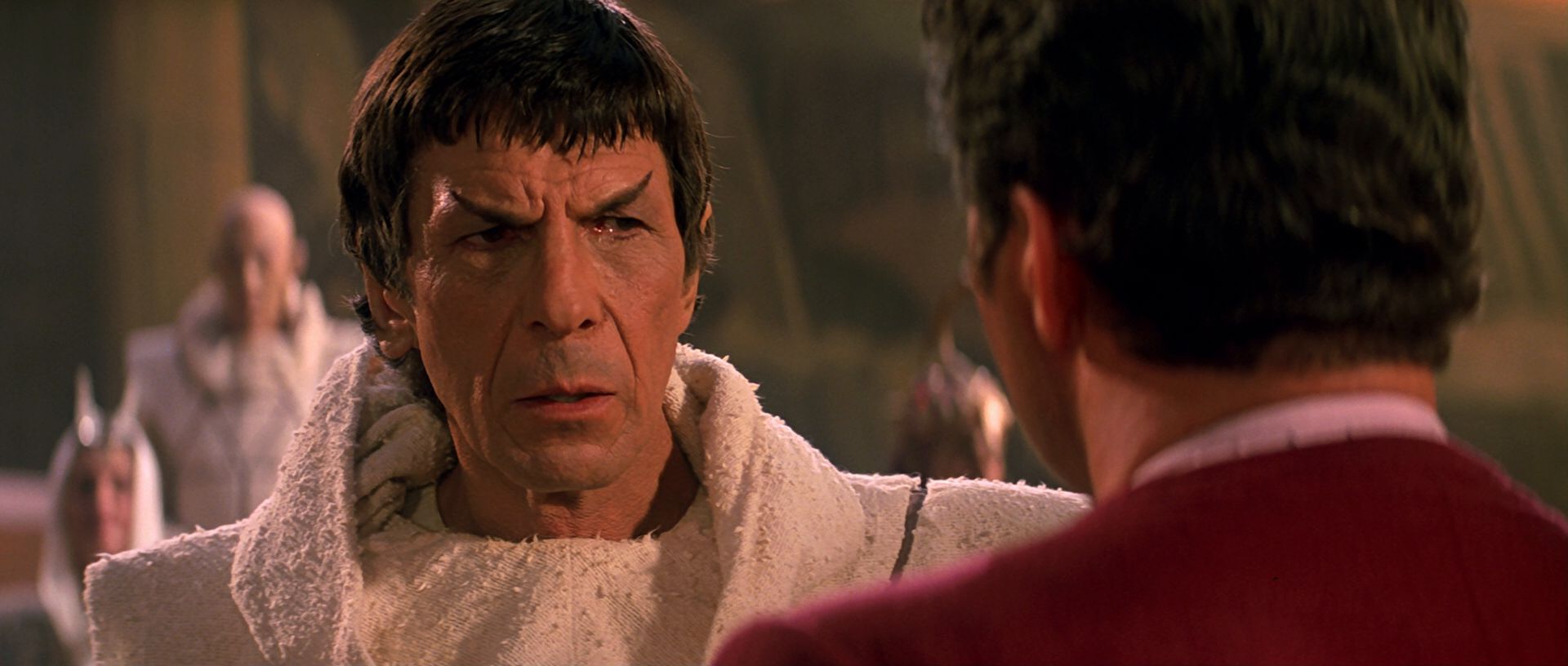 extant_StarTrek3_TheSearchForSpock_07103.jpg