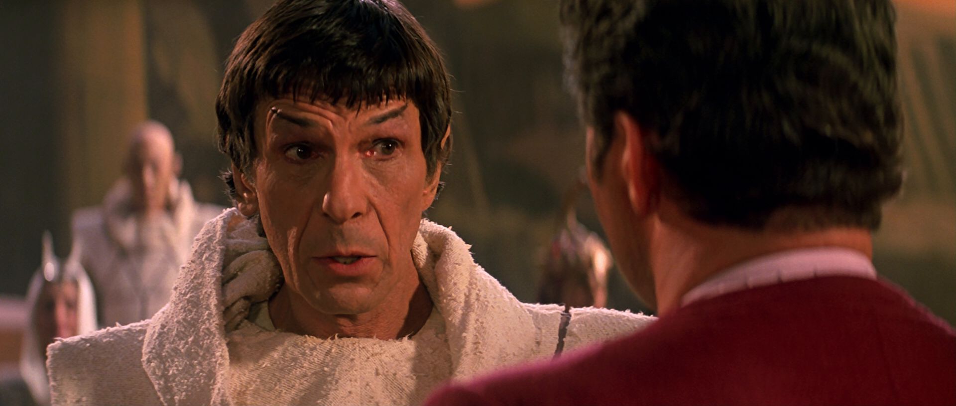 extant_StarTrek3_TheSearchForSpock_07109.jpg