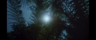 Filename=extant_StarTrek3_TheSearchForSpock_00185.jpg
Filesize=143KiB
Dimensions=1920x816
Date added=Oct 31, 2018 extant_StarTrek3_TheSearchForSpock_00185.jpg
