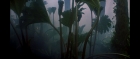 Filename=extant_StarTrek3_TheSearchForSpock_00198.jpg
Filesize=104KiB
Dimensions=1920x816
Date added=Oct 31, 2018 extant_StarTrek3_TheSearchForSpock_00198.jpg