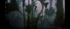 Filename=extant_StarTrek3_TheSearchForSpock_00199.jpg
Filesize=106KiB
Dimensions=1920x816
Date added=Oct 31, 2018 extant_StarTrek3_TheSearchForSpock_00199.jpg