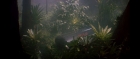 Filename=extant_StarTrek3_TheSearchForSpock_00216.jpg
Filesize=115KiB
Dimensions=1920x816
Date added=Oct 31, 2018 extant_StarTrek3_TheSearchForSpock_00216.jpg