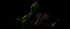 Filename=extant_StarTrek3_TheSearchForSpock_00648.jpg
Filesize=64KiB
Dimensions=1920x816
Date added=Oct 31, 2018 extant_StarTrek3_TheSearchForSpock_00648.jpg