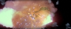Filename=extant_StarTrek3_TheSearchForSpock_00769.jpg
Filesize=162KiB
Dimensions=1920x816
Date added=Oct 31, 2018 extant_StarTrek3_TheSearchForSpock_00769.jpg