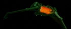Filename=extant_StarTrek3_TheSearchForSpock_00772.jpg
Filesize=74KiB
Dimensions=1920x816
Date added=Oct 31, 2018 extant_StarTrek3_TheSearchForSpock_00772.jpg