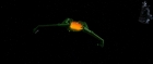 Filename=extant_StarTrek3_TheSearchForSpock_00773.jpg
Filesize=50KiB
Dimensions=1920x816
Date added=Oct 31, 2018 extant_StarTrek3_TheSearchForSpock_00773.jpg