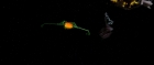 Filename=extant_StarTrek3_TheSearchForSpock_00774.jpg
Filesize=50KiB
Dimensions=1920x816
Date added=Oct 31, 2018 extant_StarTrek3_TheSearchForSpock_00774.jpg