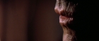 Filename=extant_StarTrek3_TheSearchForSpock_01883.jpg
Filesize=138KiB
Dimensions=1920x816
Date added=Oct 31, 2018 extant_StarTrek3_TheSearchForSpock_01883.jpg