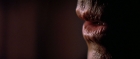 Filename=extant_StarTrek3_TheSearchForSpock_01886.jpg
Filesize=121KiB
Dimensions=1920x816
Date added=Oct 31, 2018 extant_StarTrek3_TheSearchForSpock_01886.jpg