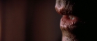 Filename=extant_StarTrek3_TheSearchForSpock_01888.jpg
Filesize=115KiB
Dimensions=1920x816
Date added=Oct 31, 2018 extant_StarTrek3_TheSearchForSpock_01888.jpg