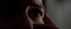 Filename=extant_StarTrek3_TheSearchForSpock_01892.jpg
Filesize=75KiB
Dimensions=1920x816
Date added=Oct 31, 2018 extant_StarTrek3_TheSearchForSpock_01892.jpg