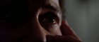 Filename=extant_StarTrek3_TheSearchForSpock_01893.jpg
Filesize=77KiB
Dimensions=1920x816
Date added=Oct 31, 2018 extant_StarTrek3_TheSearchForSpock_01893.jpg