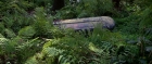 extant_StarTrek3_TheSearchForSpock_02183.jpg