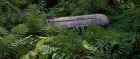 extant_StarTrek3_TheSearchForSpock_02184.jpg