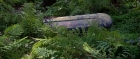 extant_StarTrek3_TheSearchForSpock_02185.jpg