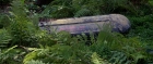 extant_StarTrek3_TheSearchForSpock_02187.jpg