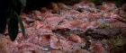 extant_StarTrek3_TheSearchForSpock_02222.jpg