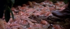 extant_StarTrek3_TheSearchForSpock_02223.jpg