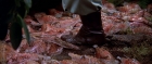 Filename=extant_StarTrek3_TheSearchForSpock_02225.jpg
Filesize=237KiB
Dimensions=1920x816
Date added=Oct 31, 2018 extant_StarTrek3_TheSearchForSpock_02225.jpg