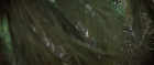extant_StarTrek3_TheSearchForSpock_03737.jpg
