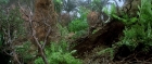 extant_StarTrek3_TheSearchForSpock_03838.jpg