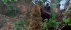 extant_StarTrek3_TheSearchForSpock_03843.jpg