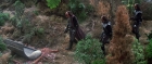 extant_StarTrek3_TheSearchForSpock_03846.jpg
