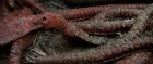 extant_StarTrek3_TheSearchForSpock_03850.jpg