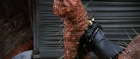extant_StarTrek3_TheSearchForSpock_03879.jpg