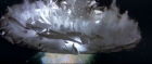 Filename=extant_StarTrek3_TheSearchForSpock_05425.jpg
Filesize=193KiB
Dimensions=1920x816
Date added=Oct 31, 2018 extant_StarTrek3_TheSearchForSpock_05425.jpg