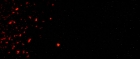 Filename=extant_StarTrek3_TheSearchForSpock_06186.jpg
Filesize=40KiB
Dimensions=1920x816
Date added=Oct 31, 2018 extant_StarTrek3_TheSearchForSpock_06186.jpg