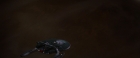 Filename=ariane179254_StarTrekII_TheWrathOfKhan_DC_0613.jpg
Filesize=63KiB
Dimensions=1920x800
Date added=Jun 17, 2016 ariane179254_StarTrekII_TheWrathOfKhan_DC_0613.jpg