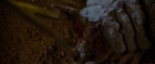 Filename=ariane179254_StarTrekII_TheWrathOfKhan_DC_1327.jpg
Filesize=131KiB
Dimensions=1920x800
Date added=Jun 17, 2016 ariane179254_StarTrekII_TheWrathOfKhan_DC_1327.jpg