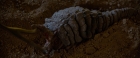 Filename=ariane179254_StarTrekII_TheWrathOfKhan_DC_1330.jpg
Filesize=157KiB
Dimensions=1920x800
Date added=Jun 17, 2016 ariane179254_StarTrekII_TheWrathOfKhan_DC_1330.jpg