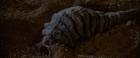 Filename=ariane179254_StarTrekII_TheWrathOfKhan_DC_1333.jpg
Filesize=157KiB
Dimensions=1920x800
Date added=Jun 17, 2016 ariane179254_StarTrekII_TheWrathOfKhan_DC_1333.jpg