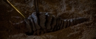 ariane179254_StarTrekII_TheWrathOfKhan_DC_1351.jpg