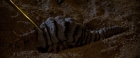 ariane179254_StarTrekII_TheWrathOfKhan_DC_1354.jpg