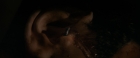 Filename=ariane179254_StarTrekII_TheWrathOfKhan_DC_1452.jpg
Filesize=46KiB
Dimensions=1920x800
Date added=Jun 17, 2016 ariane179254_StarTrekII_TheWrathOfKhan_DC_1452.jpg