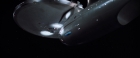 Filename=ariane179254_StarTrekII_TheWrathOfKhan_DC_1925.jpg
Filesize=68KiB
Dimensions=1920x800
Date added=Jun 17, 2016 ariane179254_StarTrekII_TheWrathOfKhan_DC_1925.jpg