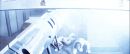 Filename=ariane179254_StarTrekII_TheWrathOfKhan_DC_3119.jpg
Filesize=105KiB
Dimensions=1920x800
Date added=Jun 17, 2016 ariane179254_StarTrekII_TheWrathOfKhan_DC_3119.jpg