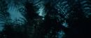 Filename=ariane179254_StarTrekII_TheWrathOfKhan_DC_6980.jpg
Filesize=160KiB
Dimensions=1920x800
Date added=Jun 17, 2016 ariane179254_StarTrekII_TheWrathOfKhan_DC_6980.jpg
