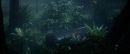 Filename=ariane179254_StarTrekII_TheWrathOfKhan_DC_7008.jpg
Filesize=111KiB
Dimensions=1920x800
Date added=Jun 17, 2016 ariane179254_StarTrekII_TheWrathOfKhan_DC_7008.jpg