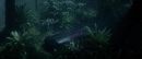 Filename=ariane179254_StarTrekII_TheWrathOfKhan_DC_7012.jpg
Filesize=112KiB
Dimensions=1920x800
Date added=Jun 17, 2016 ariane179254_StarTrekII_TheWrathOfKhan_DC_7012.jpg