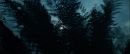 Filename=ariane179254_StarTrekII_TheWrathOfKhan_DC_7023.jpg
Filesize=143KiB
Dimensions=1920x800
Date added=Jun 17, 2016 ariane179254_StarTrekII_TheWrathOfKhan_DC_7023.jpg