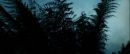 Filename=ariane179254_StarTrekII_TheWrathOfKhan_DC_7024.jpg
Filesize=161KiB
Dimensions=1920x800
Date added=Jun 17, 2016 ariane179254_StarTrekII_TheWrathOfKhan_DC_7024.jpg
