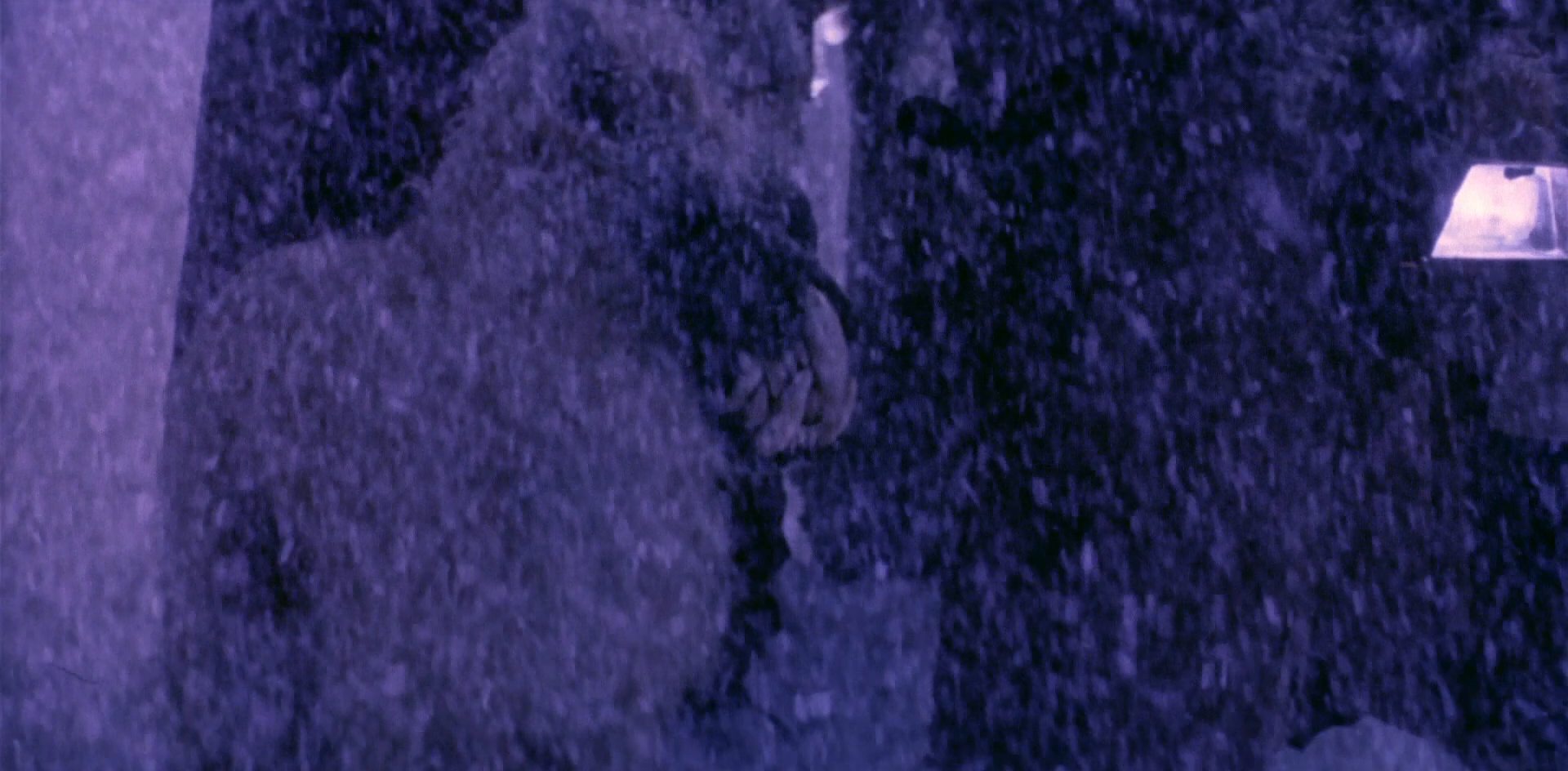 extant_StarTrek_6_TheUndiscoveredCountry_DC_04891.jpg