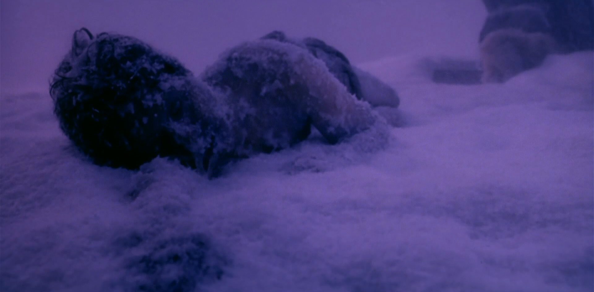 extant_StarTrek_6_TheUndiscoveredCountry_DC_04939.jpg