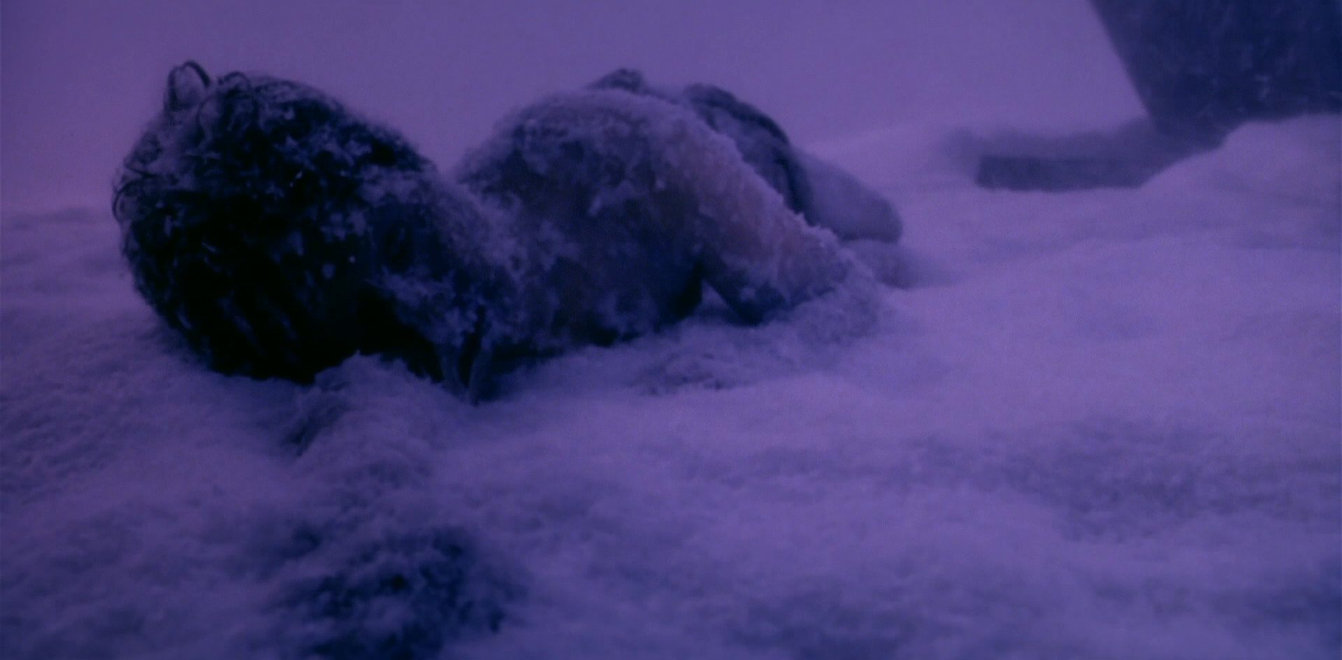 extant_StarTrek_6_TheUndiscoveredCountry_DC_04945.jpg