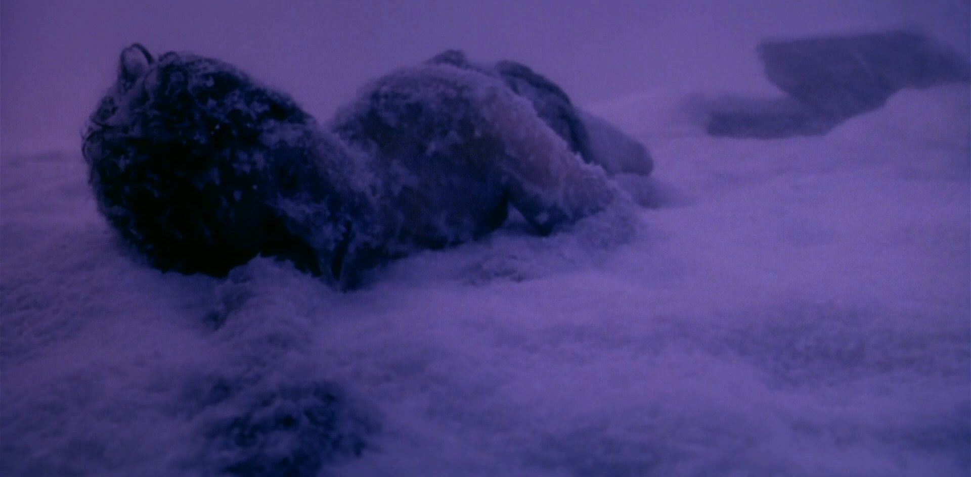 extant_StarTrek_6_TheUndiscoveredCountry_DC_04949.jpg